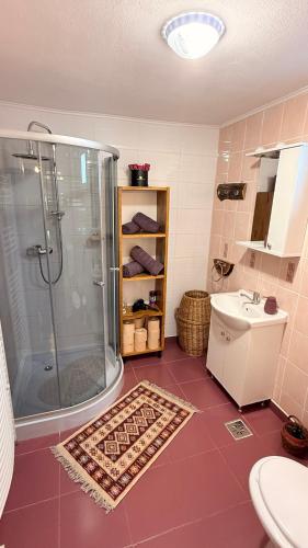 a bathroom with a shower and a toilet and a sink at Casa de sub Horă in Zărneşti