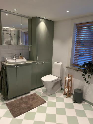 a bathroom with a toilet and a sink and a mirror at Kanalhuset in Motala