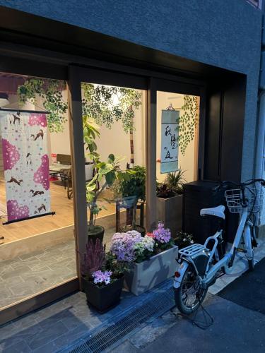 秋陽の庭YoungsGarden1LDK 201