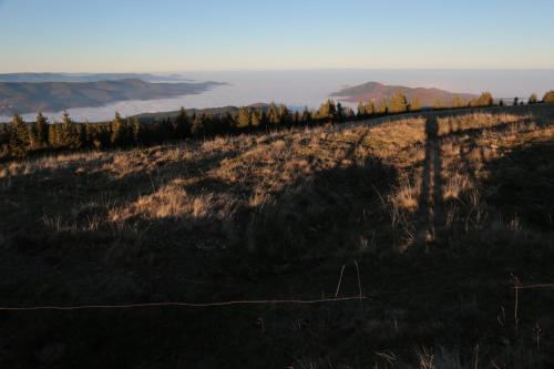 a hill with a fence on top of a field at Le Holzberg et ses Suites in Osenbach