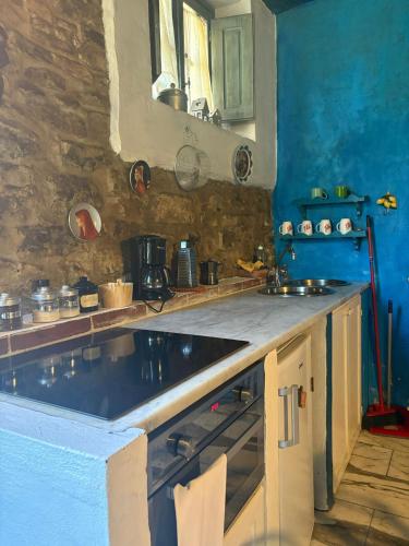 a kitchen with a sink and a counter top at Borgo Medievale di Poggio Alla Pieve Relais, Food & Art in Calenzano