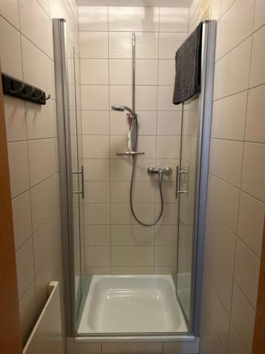 a bathroom with a shower with a glass door at Appartement Stichauner in Tschöran