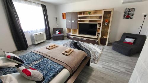 a bedroom with a bed and a tv and a chair at Freedom-Fehérvár apartman in Székesfehérvár