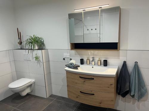a bathroom with a sink and a toilet and a cabinet at Appartement Dürnle Reißeck in Mühldorf