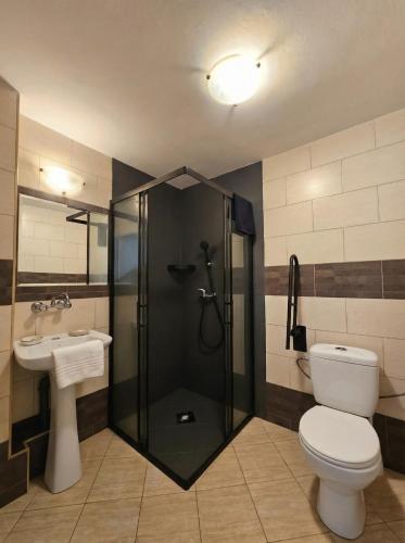 ein Badezimmer mit Dusche, Toilette und Waschbecken in der Unterkunft Pensjonat Libra in Karolinów