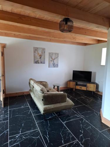 a living room with a couch and a tv at Domaine des Chênes in Saint-Pierre-les-Étieux