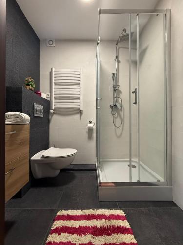 a bathroom with a shower with a toilet and a sink at Ośrodek Dalpol in Prażmowo