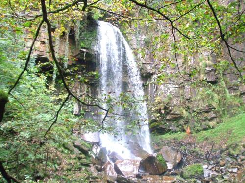 a waterfall in the middle of a forest at Cwmbach Guest House in Neath