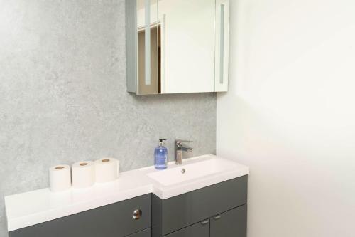 a bathroom with a white sink and a mirror at Self-contained flat in Girton