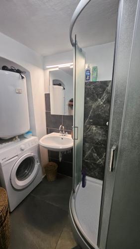 a bathroom with a washing machine and a sink at Apartment Slavija in Škofja Loka