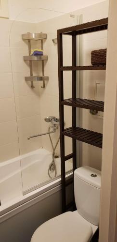 a bathroom with a toilet and a shower and a tub at Gallo Riga Apartments in Riga