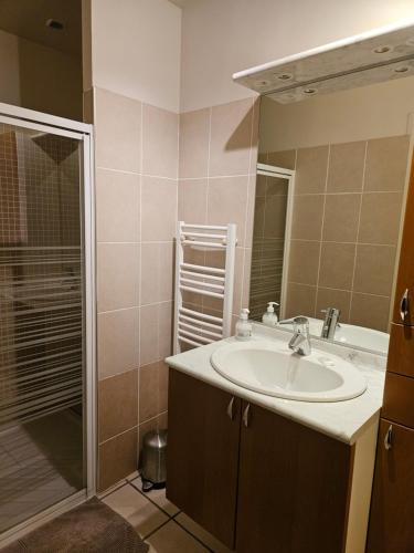 a bathroom with a sink and a shower at Lou Caussinhol 3 épis in Montbazens