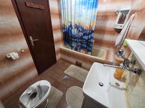 a bathroom with a toilet and a sink at Apartments Drita in Baška