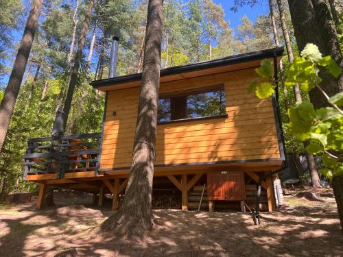 a tree house in the middle of a forest at Kaszuby Mały Domek in Potuły
