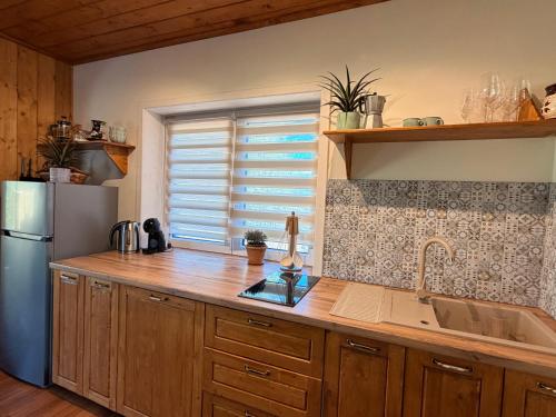 a kitchen with a sink and a refrigerator at Sunset Mountains Village in Dealu Negru