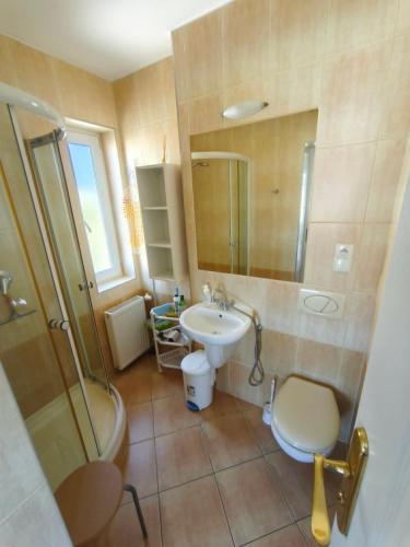a bathroom with a sink and a shower and a toilet at Pokoje gościnne in Międzyzdroje