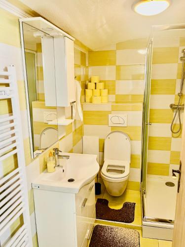 a bathroom with a toilet and a sink and a shower at Apartma Elza in Tržič