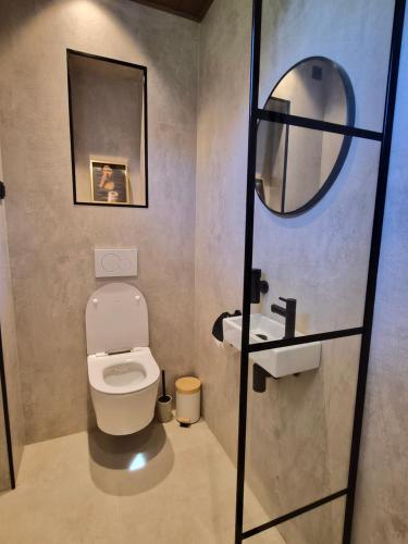 a small bathroom with a toilet and a mirror at De Remise in Hengelo