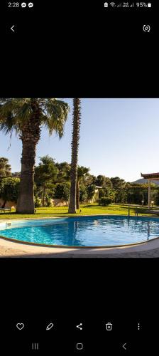 a swimming pool with palm trees in a park at Anavissos pool appartment in Anavyssos