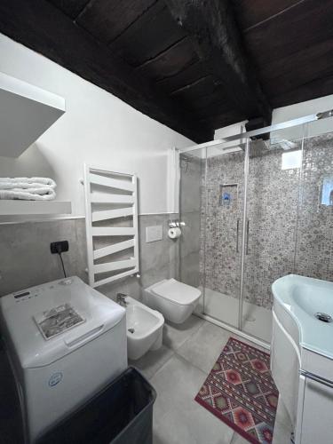 a bathroom with a sink and a toilet and a shower at Il Sasso appartamento in Orta San Giulio