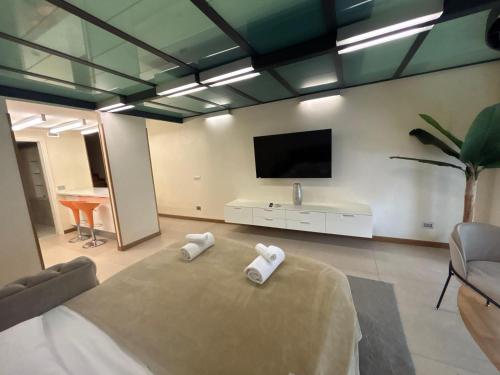Trevi Fountain Loft