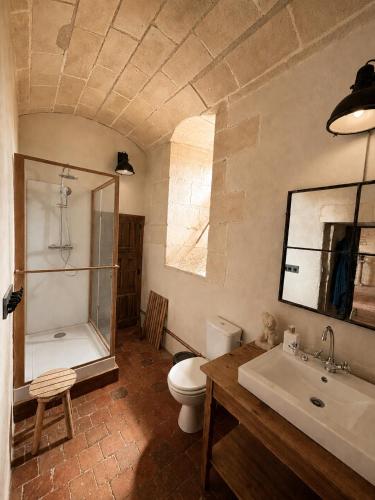 a bathroom with a toilet and a shower and a sink at Château de Bagneux in Bournan