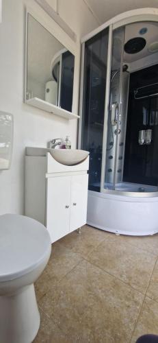 a bathroom with a toilet and a sink and mirror at BORA- Popas Turistic casute de vacanta in Fîrdea