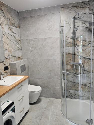 a bathroom with a shower and a toilet and a sink at Mazurska Osada in Januszkowo