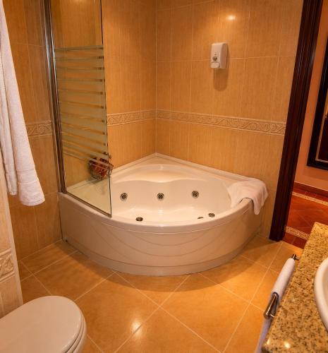 eine Badewanne in einem Badezimmer mit Toilette in der Unterkunft Hotel Real Castillo in La Guardia