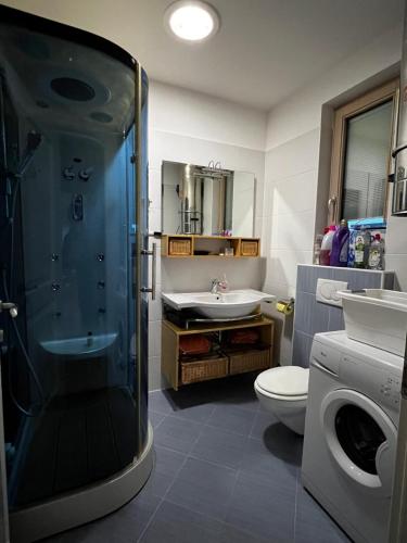 a bathroom with a shower and a sink and a toilet at Villa Aria in Marčana