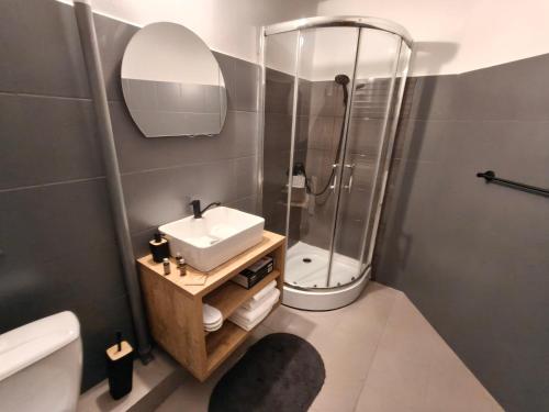a bathroom with a sink and a shower and a toilet at Baroc Boutique Hotel in Topliţa