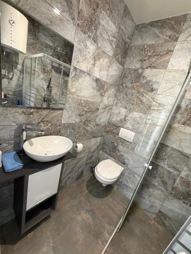 a bathroom with a sink and a toilet and a shower at Apartment Zart 2 in Dekani