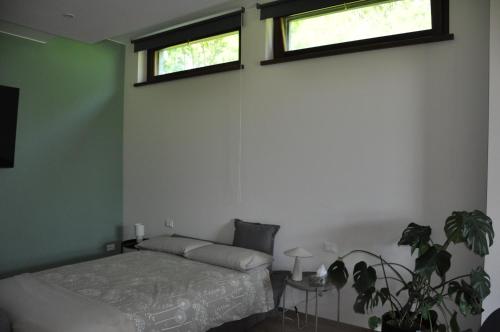 a bedroom with a bed and two windows at L'Oasi Amena - Loft in Ameno
