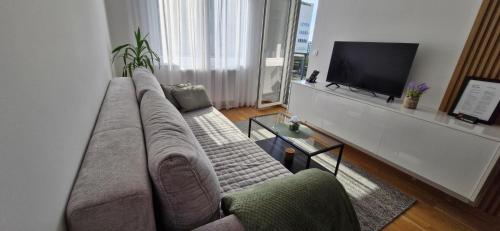 a living room with a couch and a flat screen tv at Apartman A&V in Banja Luka