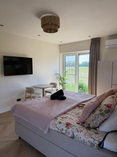 a bedroom with a bed with a television and a table at B&B Bos en Dal in Blesdijke