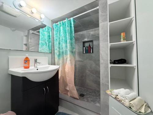 a bathroom with a sink and a shower at Ideal Bachelor Suite For Couples in Aurora in Aurora