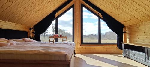 a bedroom with a bed in a room with windows at Mazurska Puszcza domek pod brzozą in Dźwierzuty