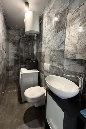 a bathroom with a toilet and a sink at Apartment Zart 1 in Dekani