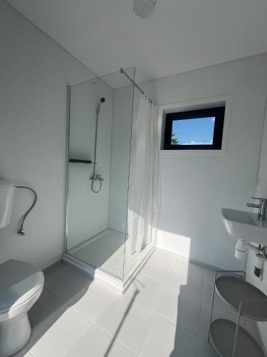 a bathroom with a shower and a toilet and a sink at Wiesn-Relax-Camping in Ranten