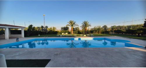 a large swimming pool in a yard with palm trees at B&B Uliveto in Cerignola