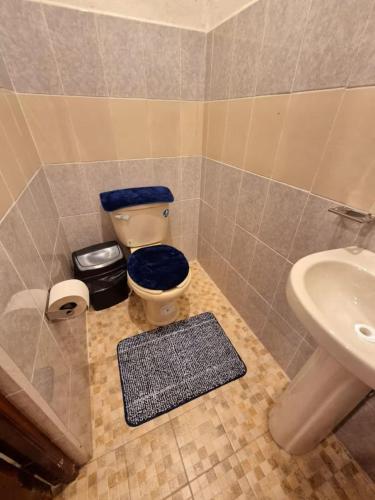 a bathroom with a toilet with a blue seat and a sink at Casa Mayan in La Vigueta