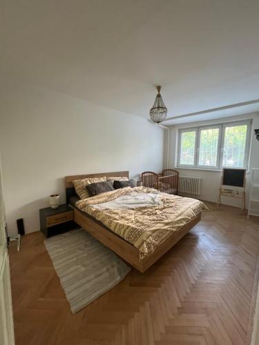 a bedroom with a large bed and a wooden floor at Exnárova in Prievoz