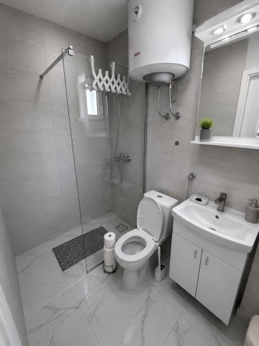 a bathroom with a shower and a toilet and a sink at Apartmani White House in Vrdnik
