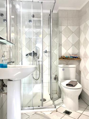 a bathroom with a shower and a toilet and a sink at FERRUM house in Hanioti