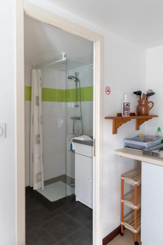 a shower with a glass door in a bathroom at Le Jardin de Gobelyne in Drain