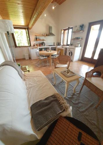 a living room with a bed and a kitchen at La Cassetta Rossa in Corinaldo