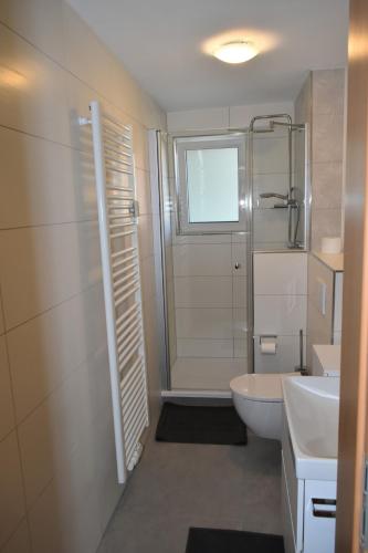 a bathroom with a shower and a toilet and a sink at Ferienwohnung Carlo in Bindlach
