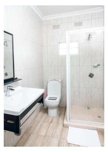 a bathroom with a shower and a toilet and a sink at Leon's Lodge in Choma