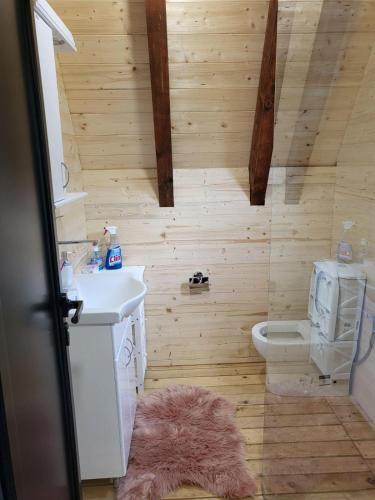a bathroom with a sink and a toilet at Omorika Perućac Splav in Gaočići