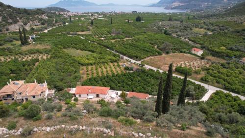 an aerial view of a house on a hill with trees at Olive Hill in Ancient Epidauros